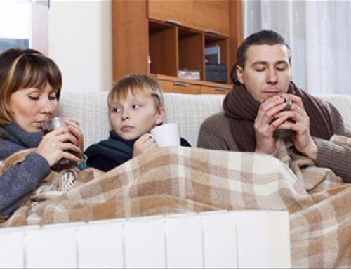 Stay Informed to Stay Warm